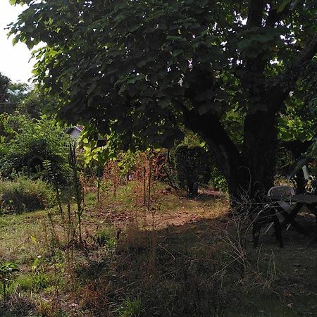Villa Lulu Merignac  Bagian luar foto