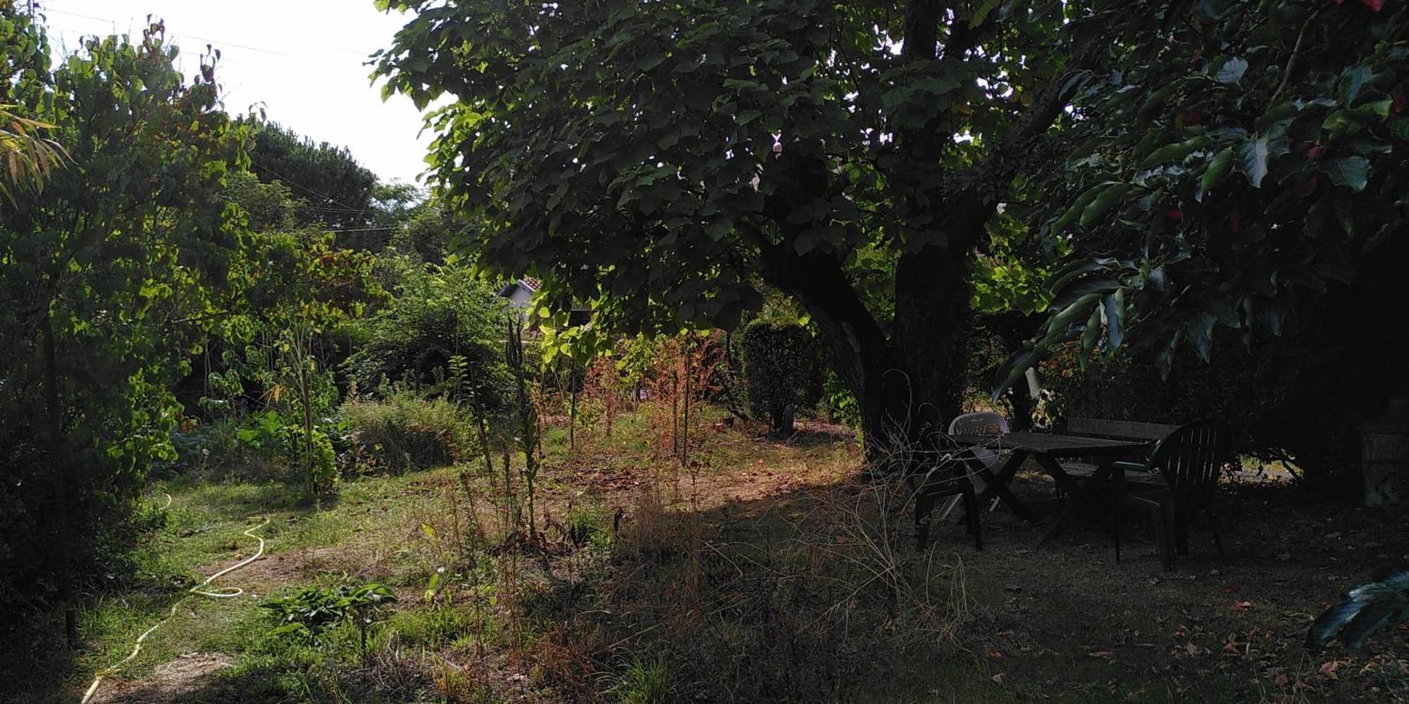 Villa Lulu Merignac  Bagian luar foto